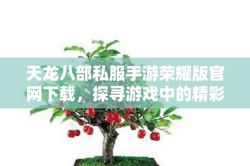 探寻游戏中的精彩与那些不为人知的坑天龙八部私服图片