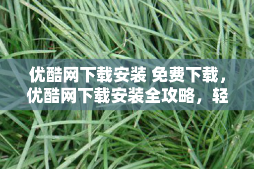 优酷网下载安装 免费下载，优酷网下载安装全攻略，轻松畅享高清视频