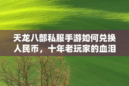 十年老玩家的血泪经验与最新攻略天龙私服图片