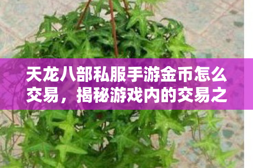 揭秘游戏内的交易之道天龙八部私服图片