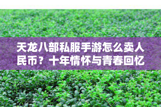 十年情怀与青春回忆的实测认证指南图片