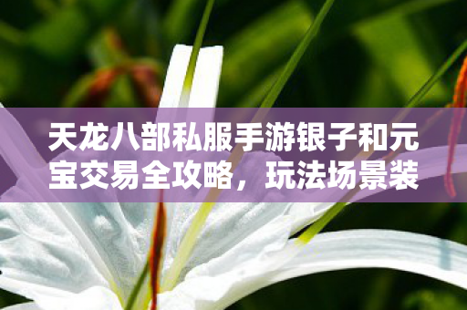 天龙八部私服手游银子和元宝交易全攻略图片