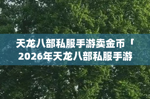 天龙八部私服手游卖金币「2026年天龙八部私服手游卖金币热度榜,Top5高人气服实测,避开90%新手陷阱」天龙私服 天龙八部私服手游卖金币「2026年天龙八部私服手游卖金币热度榜,Top5高人气服实测,避开90%新手陷阱」天龙私服