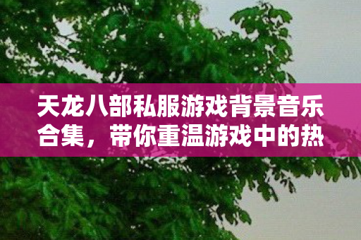 带你重温游戏中的热血与柔情天龙私服图片