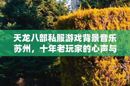 十年老玩家的心声与最新动态分享天龙私服图片