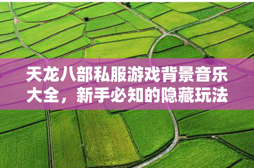 新手必知的隐藏玩法与动听旋律天龙私服图片