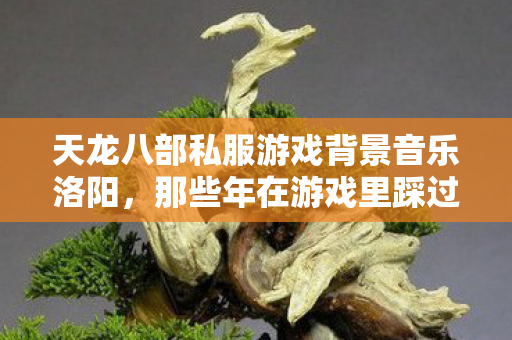 那些年在游戏里踩过的坑与摸出的野路子天龙八部私服图片