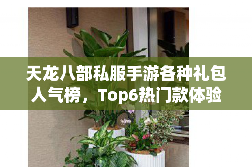 天龙八部私服手游各种礼包人气榜图片