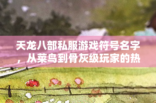 从菜鸟到骨灰级玩家的热血征程天龙私服图片