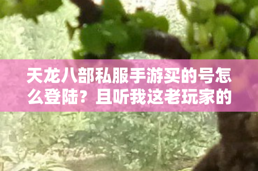 且听我这老玩家的血泪分享天龙八部私服图片