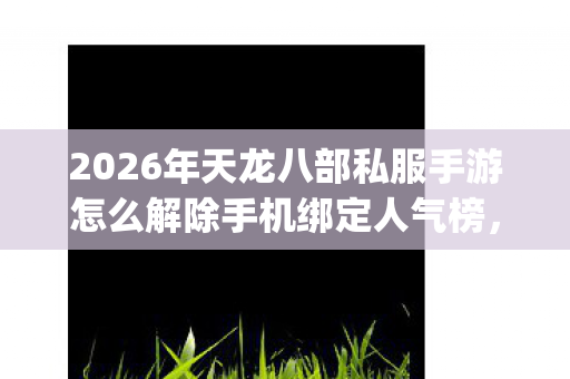 2026年天龙八部私服手游怎么解除手机绑定人气榜图片