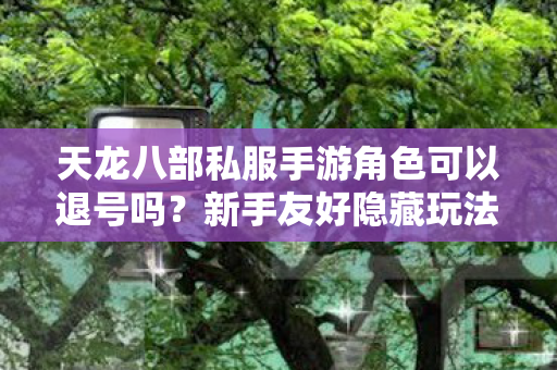 天龙八部私服手游角色可以退号吗图片