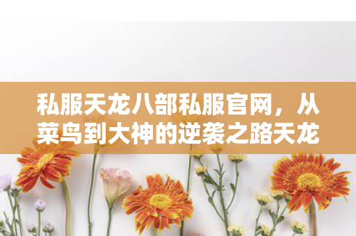 从菜鸟到大神的逆袭之路天龙私服图片