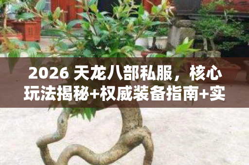 2026 天龙八部私服图片