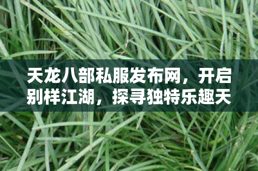 天龙八部私服发布网,开启别样江湖,探寻独特乐趣天龙八部私服 天龙八部私服发布网,开启别样江湖,探寻独特乐趣天龙八部私服
