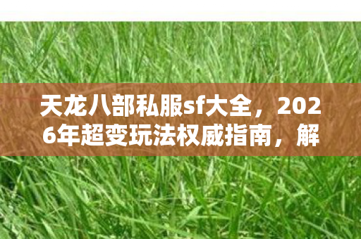 2026年超变玩法权威指南图片