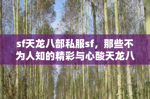那些不为人知的精彩与心酸天龙八部私服图片