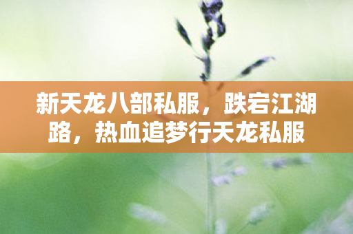 新天龙八部私服,跌宕江湖路,热血追梦行天龙私服 新天龙八部私服,跌宕江湖路,热血追梦行天龙私服