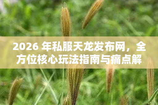 2026 年私服天龙发布网,全方位核心玩法指南与痛点解决方案大揭秘天龙八部私服 2026 年私服天龙发布网,全方位核心玩法指南与痛点解决方案大揭秘天龙八部私服