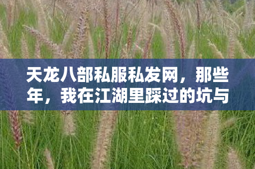 天龙八部私服私发网,那些年,我在江湖里踩过的坑与摸出的招天龙私服 天龙八部私服私发网,那些年,我在江湖里踩过的坑与摸出的招天龙私服