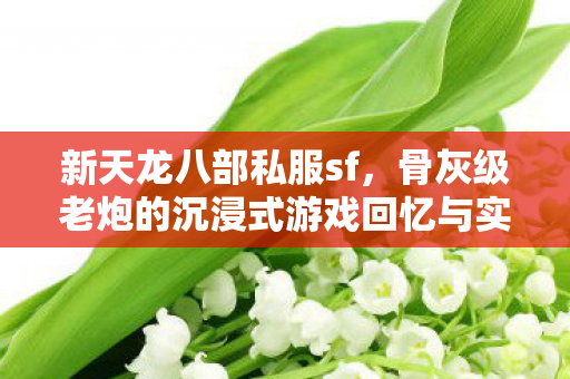 新天龙八部私服sf,骨灰级老炮的沉浸式游戏回忆与实战秘籍天龙八部私服 新天龙八部私服sf,骨灰级老炮的沉浸式游戏回忆与实战秘籍天龙八部私服