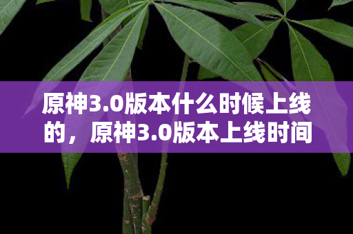 原神3.0版本什么时候上线的,原神3.0版本上线时间详解,期待已久的新内容即将来临 原神3.0版本什么时候上线的,原神3.0版本上线时间详解,期待已久的新内容即将来临