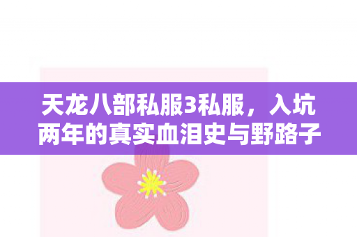 天龙八部私服3私服,入坑两年的真实血泪史与野路子分享天龙八部私服 天龙八部私服3私服,入坑两年的真实血泪史与野路子分享天龙八部私服