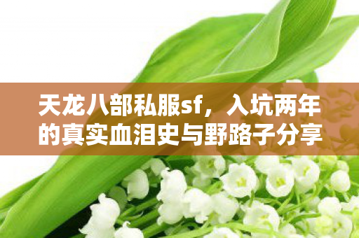 入坑两年的真实血泪史与野路子分享天龙私服图片