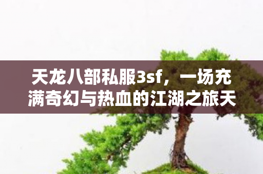 一场充满奇幻与热血的江湖之旅天龙私服图片