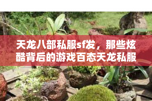 那些炫酷背后的游戏百态天龙私服图片