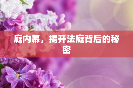 庭内幕，揭开法庭背后的秘密