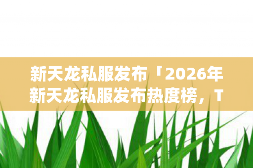 2026年新天龙私服发布热度榜图片