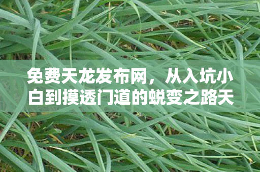 从入坑小白到摸透门道的蜕变之路天龙八部私服图片