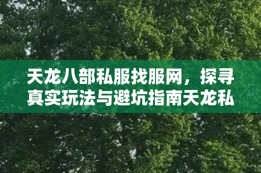探寻真实玩法与避坑指南天龙私服图片