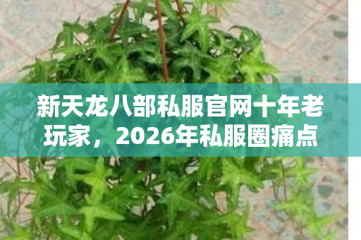 2026年私服圈痛点全解析与解决方案天龙八部私服图片