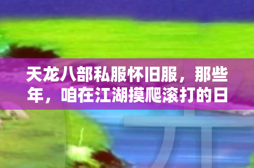 咱在江湖摸爬滚打的日子天龙私服图片