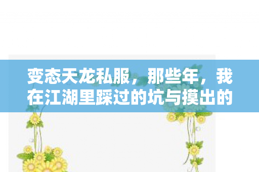 我在江湖里踩过的坑与摸出的招天龙八部私服图片