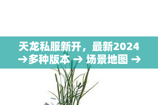 公布天龙私服新开排名图片