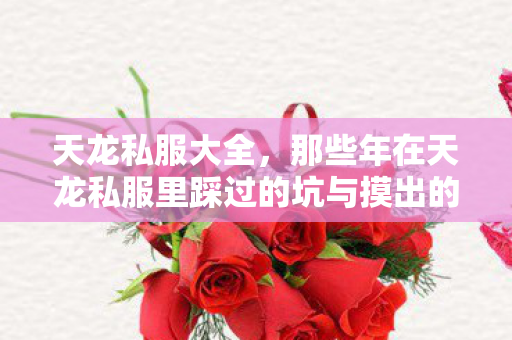 那些年在天龙私服里踩过的坑与摸出的野路子天龙八部私服图片