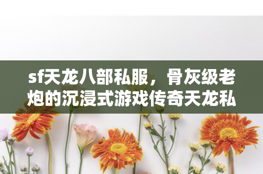 骨灰级老炮的沉浸式游戏传奇天龙私服图片