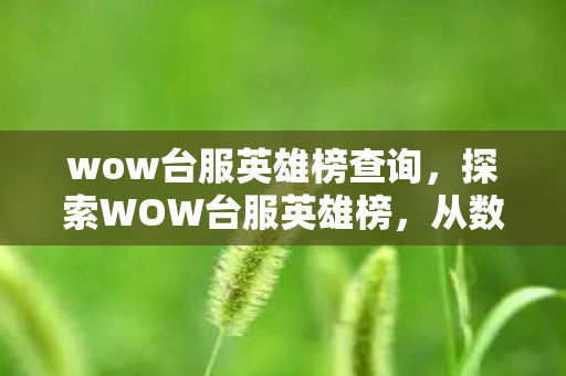 wow台服英雄榜查询,探索WOW台服英雄榜,从数据看台服玩家的实力与风采 wow台服英雄榜查询,探索WOW台服英雄榜,从数据看台服玩家的实力与风采