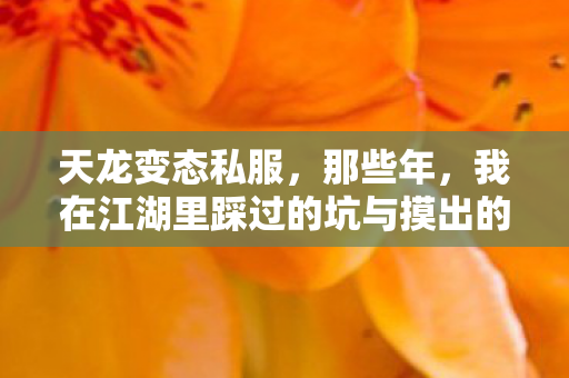 我在江湖里踩过的坑与摸出的野路子天龙八部私服图片