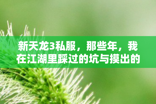 新天龙3私服,那些年,我在江湖里踩过的坑与摸出的野路子天龙八部私服 新天龙3私服,那些年,我在江湖里踩过的坑与摸出的野路子天龙八部私服