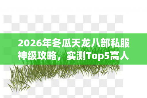 2026年冬瓜天龙八部私服神级攻略图片