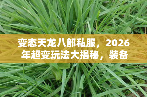 2026 年超变玩法大揭秘图片