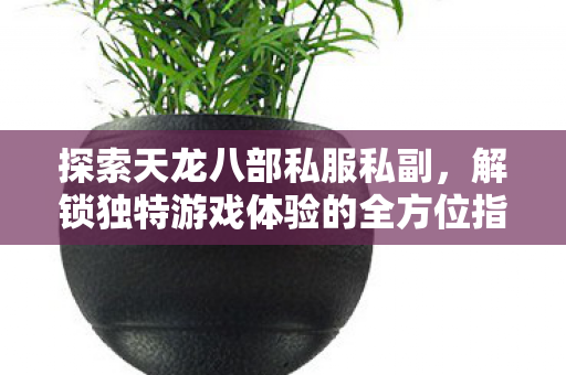 解锁独特游戏体验的全方位指南天龙私服图片