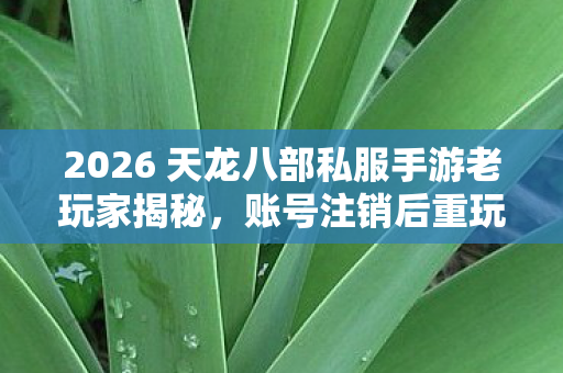2026 天龙八部私服手游老玩家揭秘图片