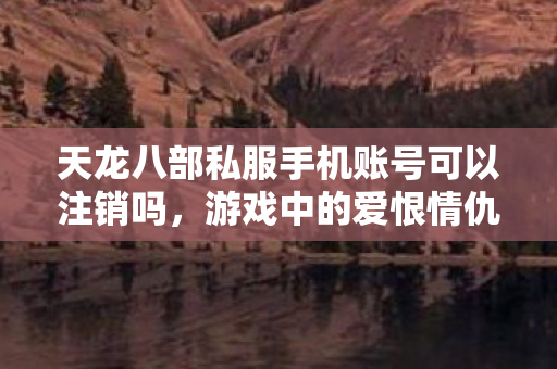 游戏中的爱恨情仇与那些不为人知的坑天龙八部私服图片