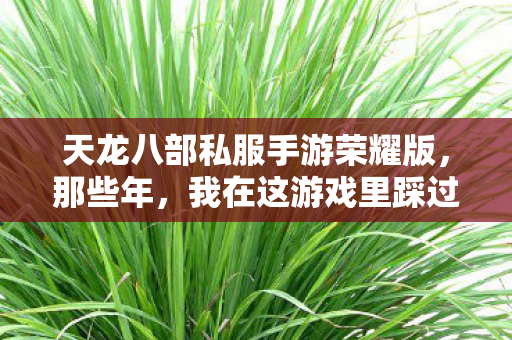 我在这游戏里踩过的坑与摸出的野路子天龙八部私服图片