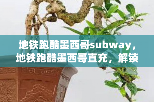 地铁跑酷墨西哥subway,地铁跑酷墨西哥直充,解锁新地图,挑战新难度! 地铁跑酷墨西哥subway,地铁跑酷墨西哥直充,解锁新地图,挑战新难度!